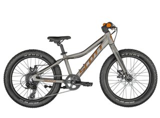 Bicicleta Scott Roxter 20