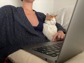 Cuidadora de gatos | Cat sitter | Valle del Tietar