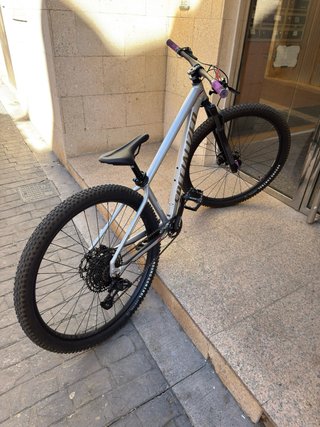 Specialized Rockhopper Expert 29