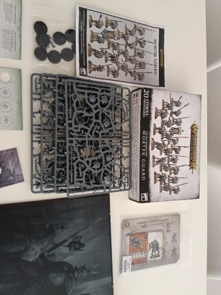 Lote Warhammer Age of Sigmar Cartas y Libros