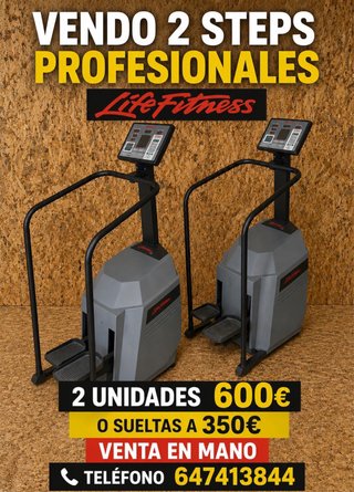 2 Escaladoras Life Fitness Profesionales