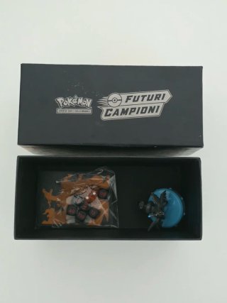 Box Pokemon Futuri Campioni