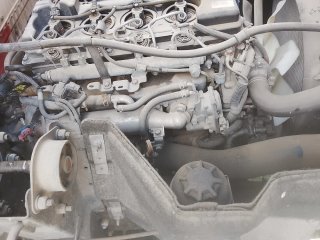 Nissan Atleon 2010