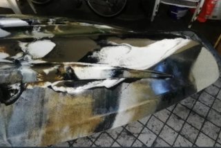 Kayak de Pesca con Accesorios