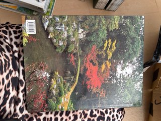 Libro bonsai japones