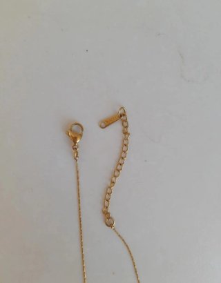 Collar Acero Inoxidable