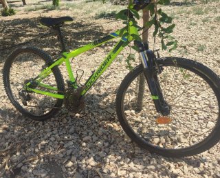 Bicicleta Rockrider niño buen estado