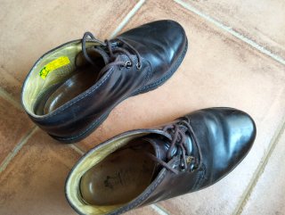 Botas Panamá Jack Gore-Tex Marrón