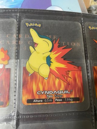 Lamincards Pokémon Charizard, Typhlosion, Arcanine