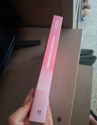hasta que te caigas bien  de Elizabeth Clapes