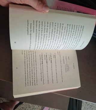 hasta que te caigas bien  de Elizabeth Clapes