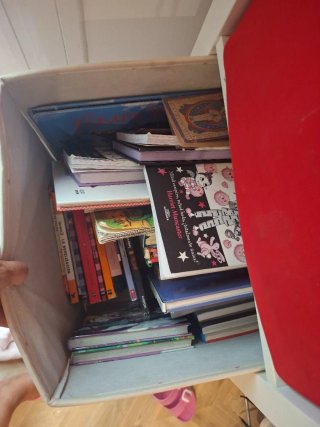 Lote libros niños lectura inglés y español