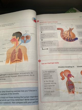 Natural Science, 5 Primary, Outside the Box, ByMe