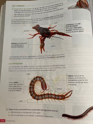Biología y Geología : 1o ESO : Revuela