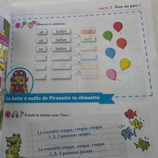 Libro francés Zig Zag + a1.1