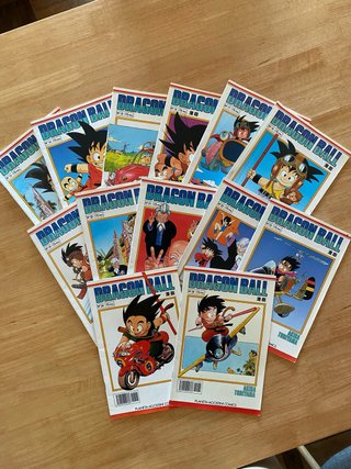 Dragon Ball Lote 13-25