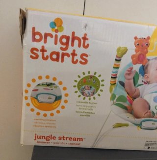 Hamaca bebé Bright Starts Jungle Stream