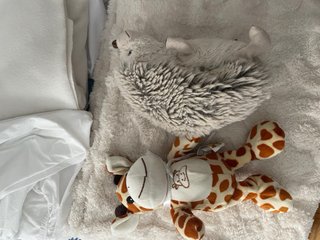 Set di biancheria da letto beige e bianco