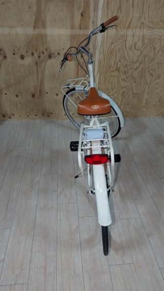 Bicicleta Alpina Olanda Mujer 26