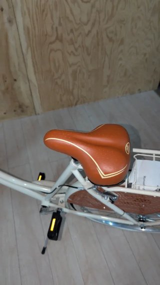 Bicicleta Alpina Olanda Mujer 26