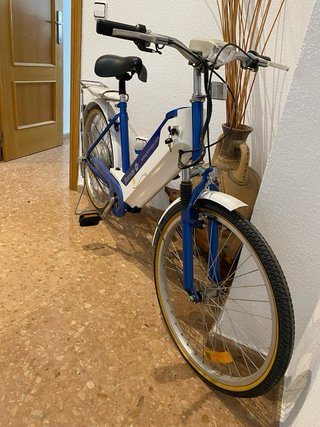 Bicicleta Eléctrica Bornay