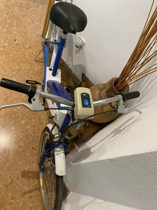 Bicicleta Eléctrica Bornay