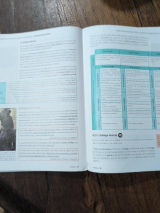 Lengua castellana y Literatura 1 Bachillerato