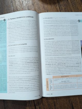 Lengua castellana y Literatura 1 Bachillerato