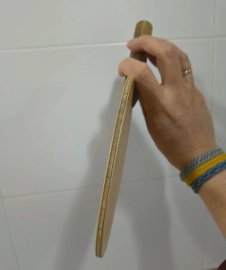 Madera Tenis Mesa Nittaku Shake Defence