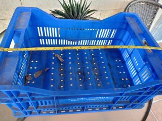 Cajas de fruta