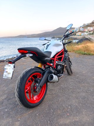 Ducati Monster 797+ (A2)