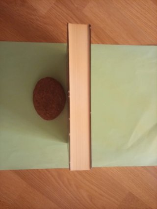Latidos
