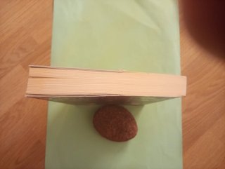 Traicionada