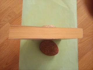 Traicionada