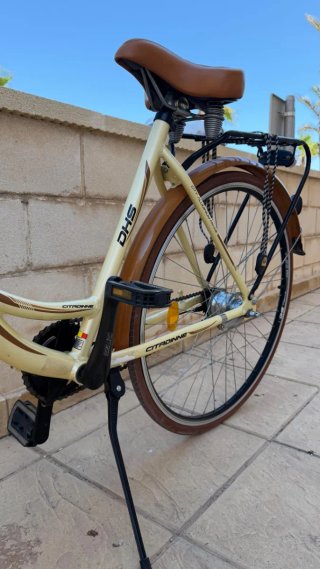 Bicicleta Paseo Holandesa Beige