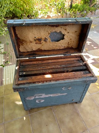 Lote Apicultura