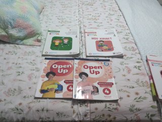 Libros de texto 4 primaria