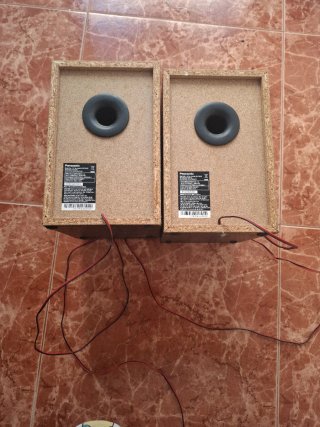 Altavoces Panasonic Negros