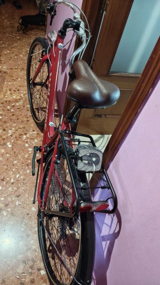 Bicicleta Wolfbike Trekking Mujer Granate