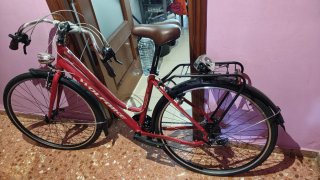 Bicicleta Wolfbike Trekking Mujer Granate