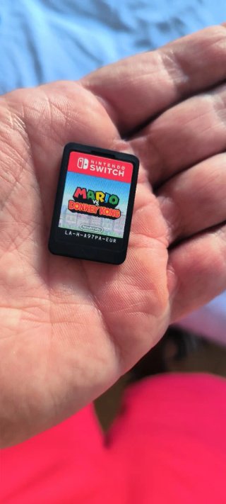 Mario vs Donkey Kong Switch
