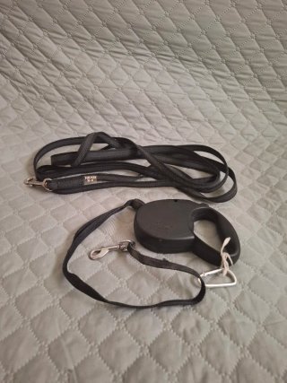 Set de Accesorios para Perro Mediano