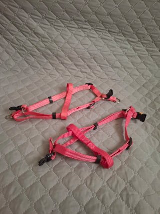 Set de Accesorios para Perro Mediano
