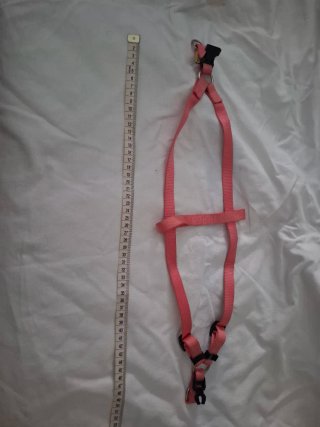 Set de Accesorios para Perro Mediano