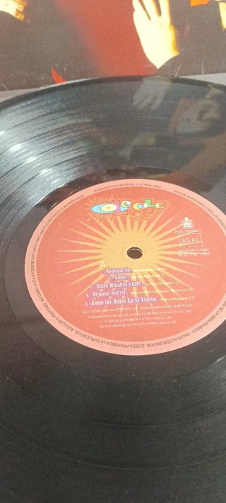 Vinilo Ole Ole Al Descubierto