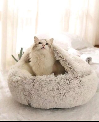 Cama Mascota Redonda Shein