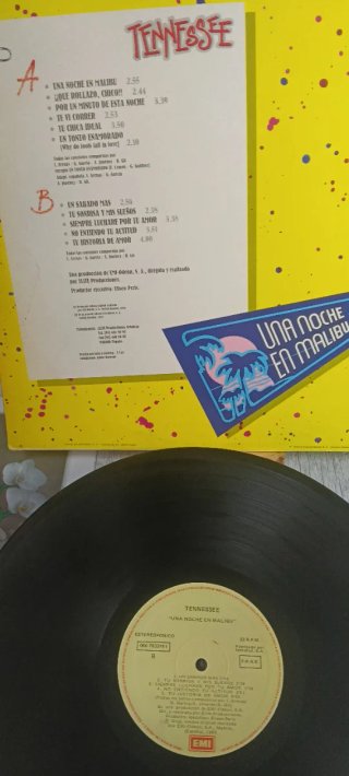 Vinilo Tennessee - Una Noche en Malibú