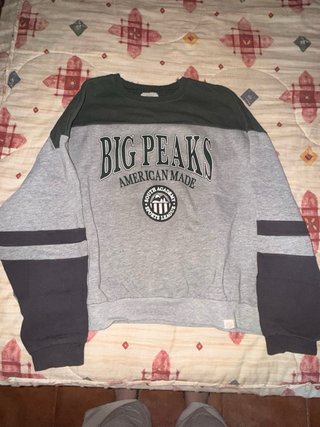 Sudadera gris y verde pull and bear