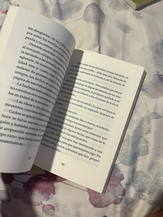 El curso en que me enamoré de ti