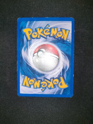 Pokémon Card Pinsir Holo 9/64 Jungle English